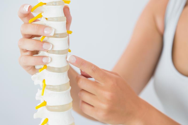 Chiropractor in Marshfield, WI